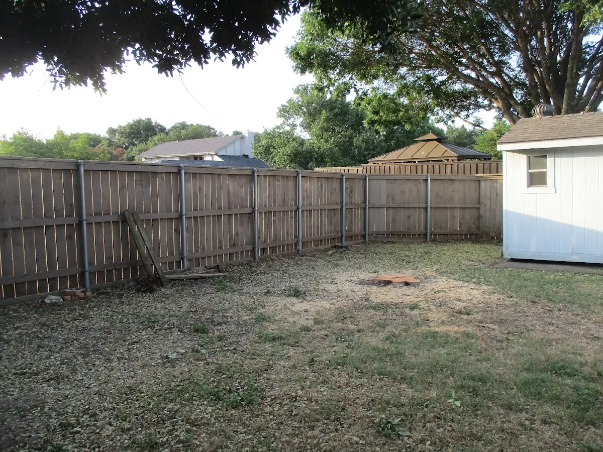 Cleared yard after professional tree removal in Hemet